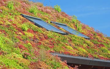 Aisby living roof systems